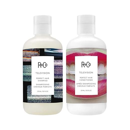 R+Co Television Perfect Hair Shampoo: 